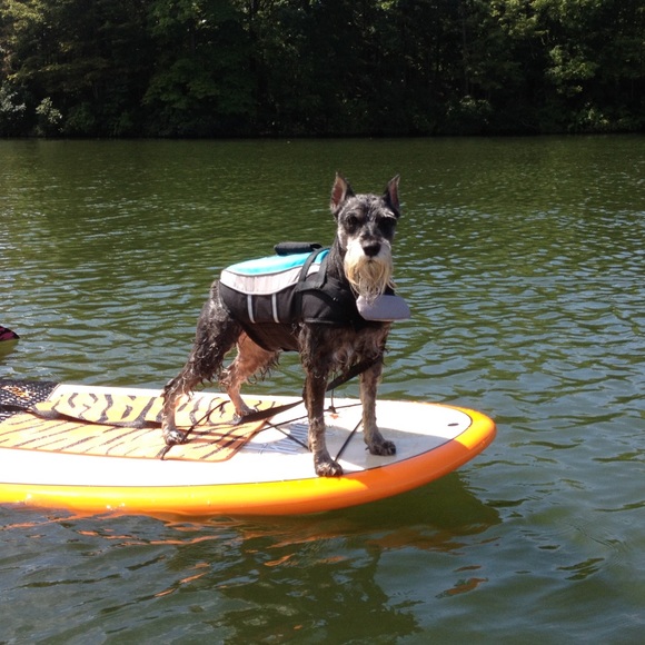 Meet your Posher, Kathleen - Picture 1 of 1